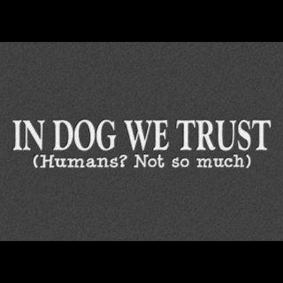 Meet your Posher, Ivona - Picture 1 of 1